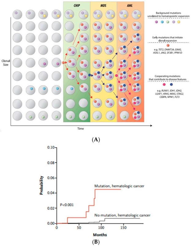 【佳学基因检测】骨髓增生异常综合征的基因解码与基因检测：诊断和筛查基础
